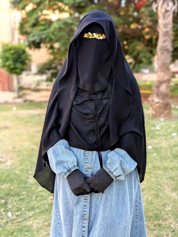 5866068622550616261 الغشوه